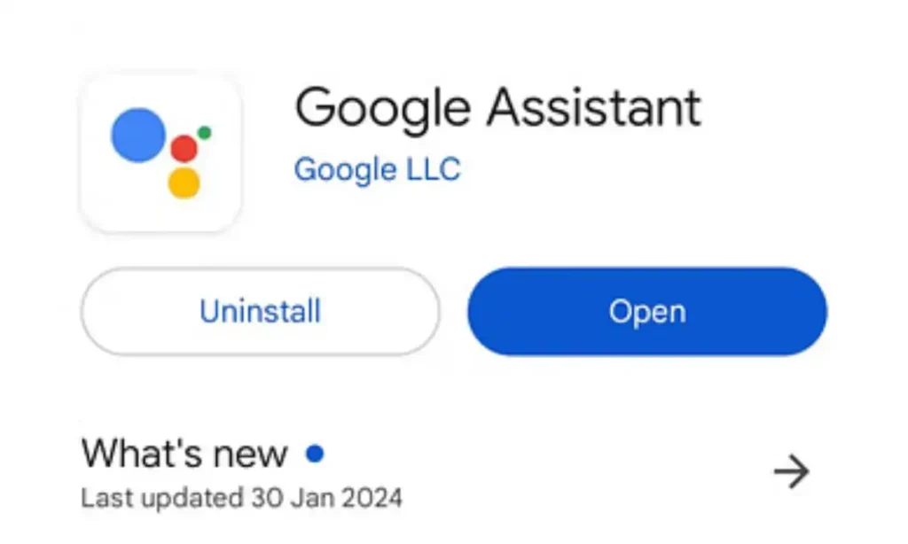 Google Assistant